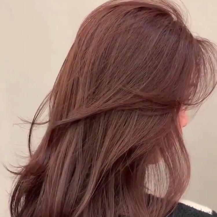 燕子