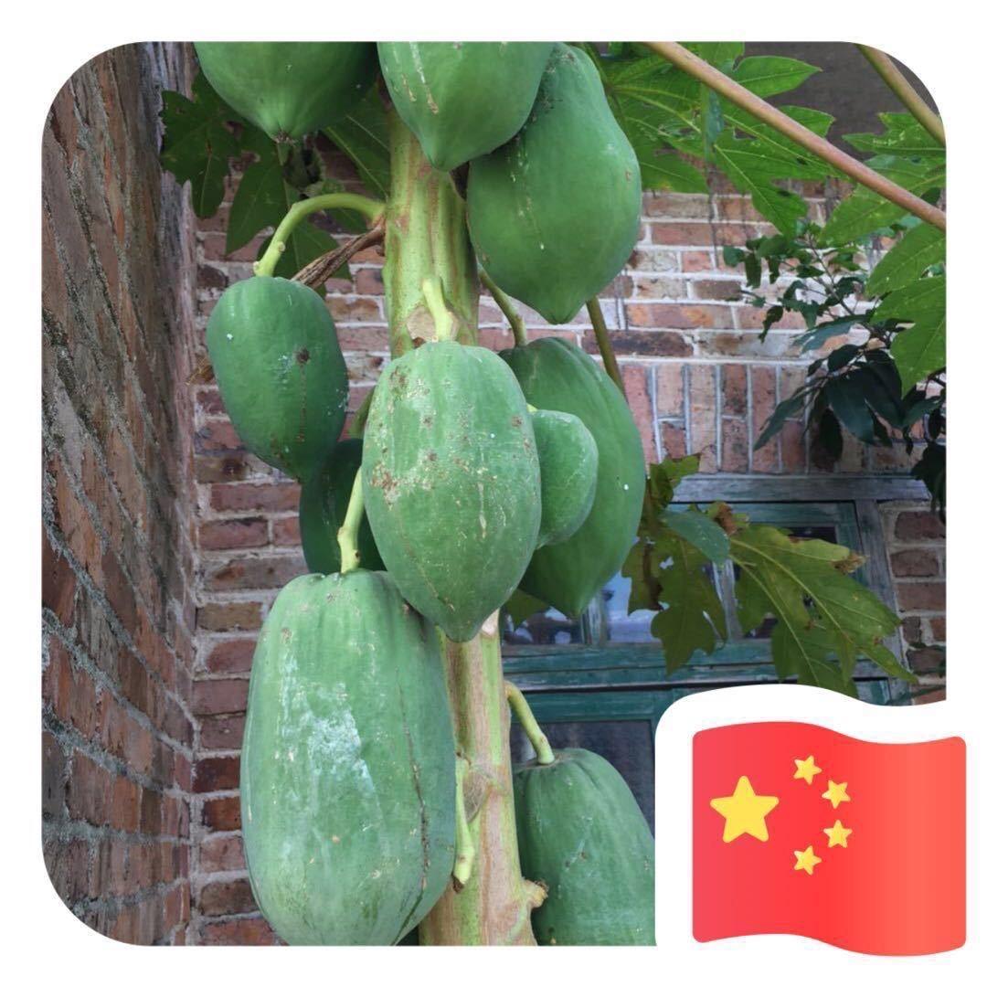 （大眼）套餐，爱喝茶