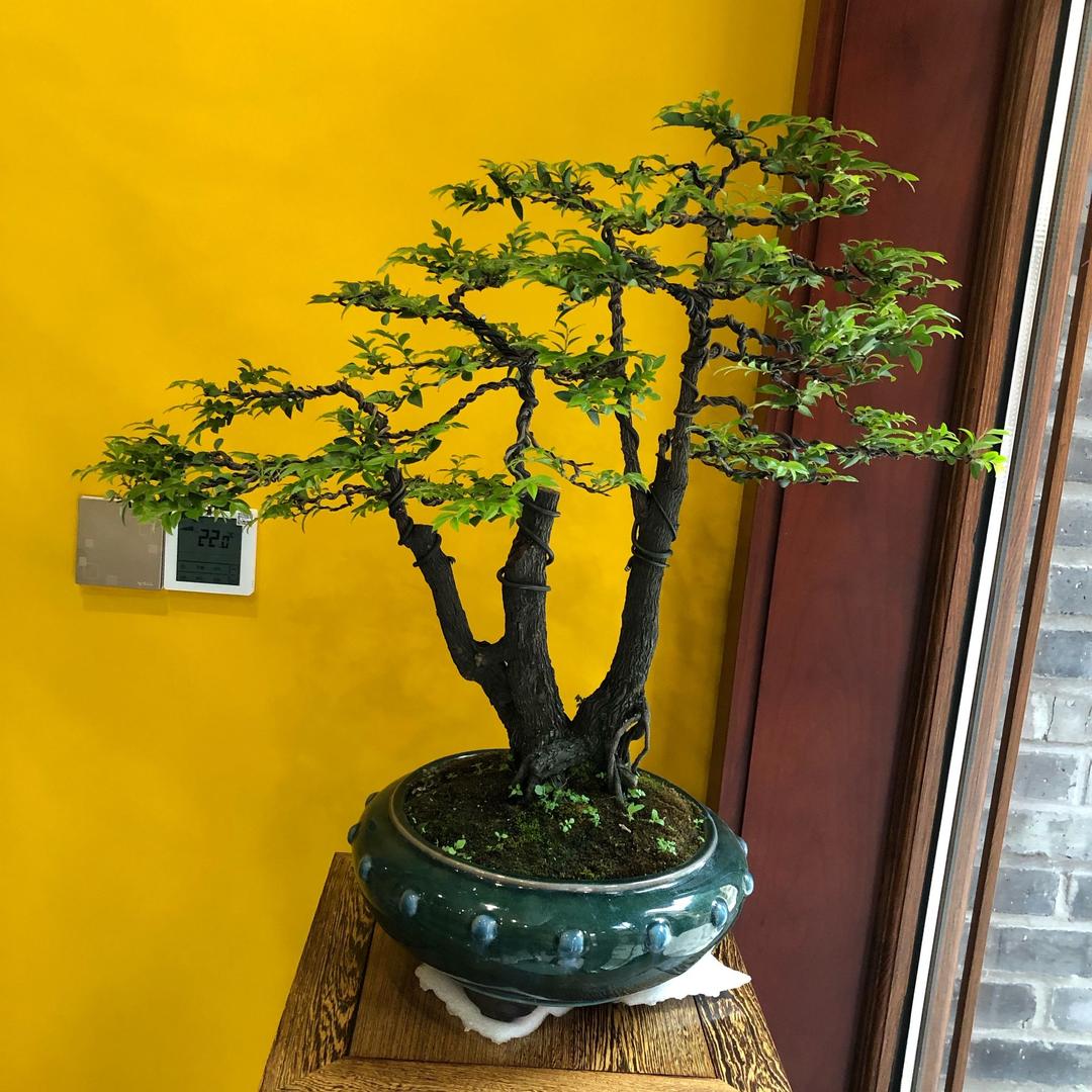 南山老街