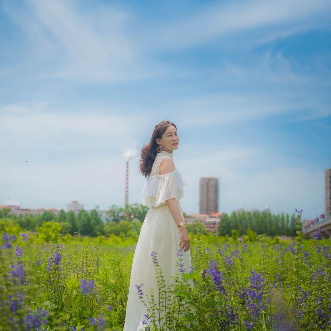 白玫瑰