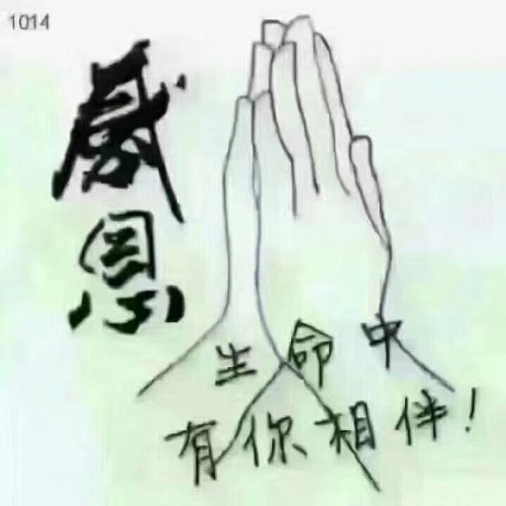 久伴💫✨✨✨✨✨