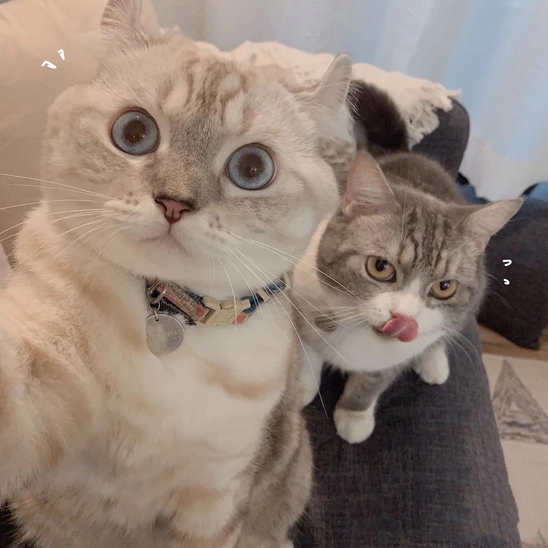 恋爱记录（养娃版）@抖音