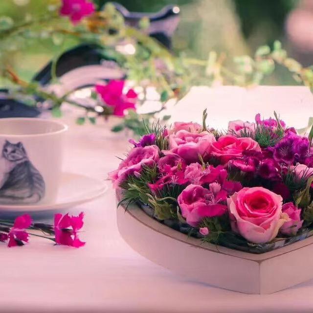 ᥫ᭡z陪伴G🍀༄ᰔᩚ