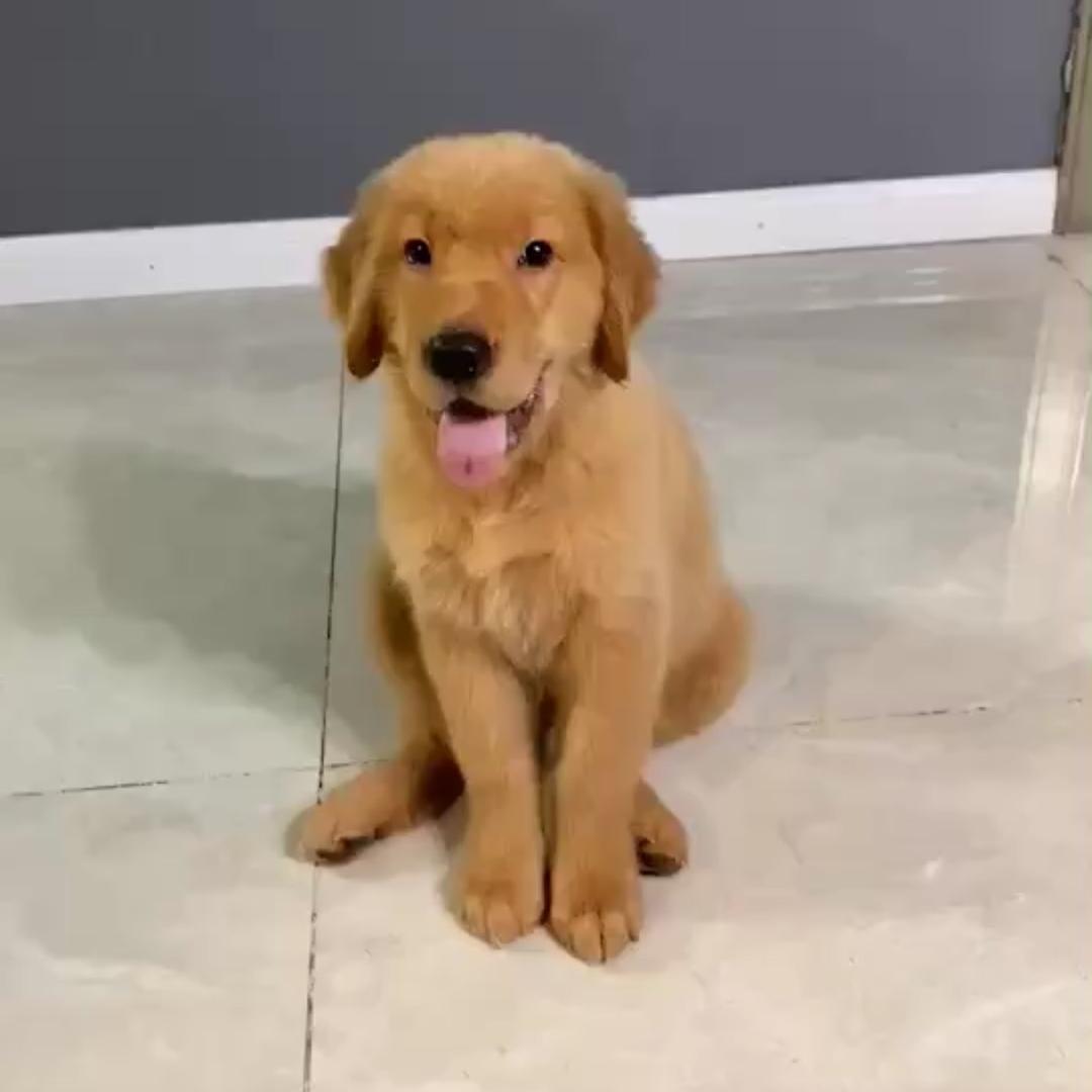 妈妈叫我仔宝宝^o^