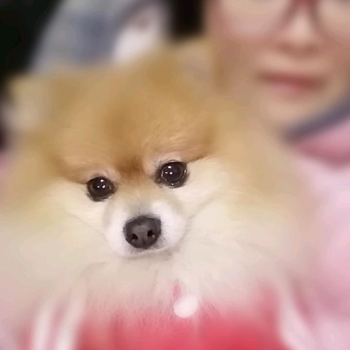 梅🌸