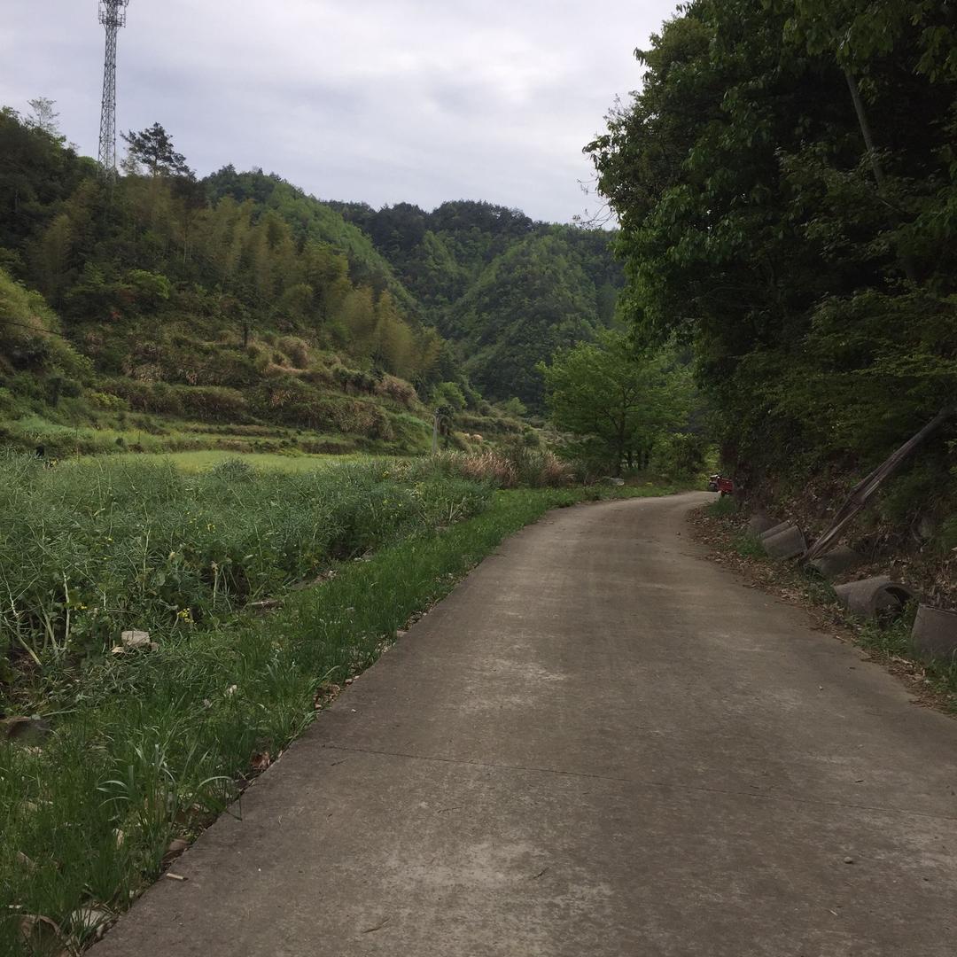 好人