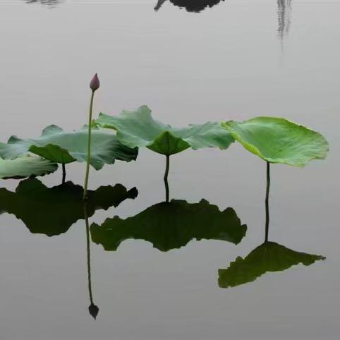 心所欲