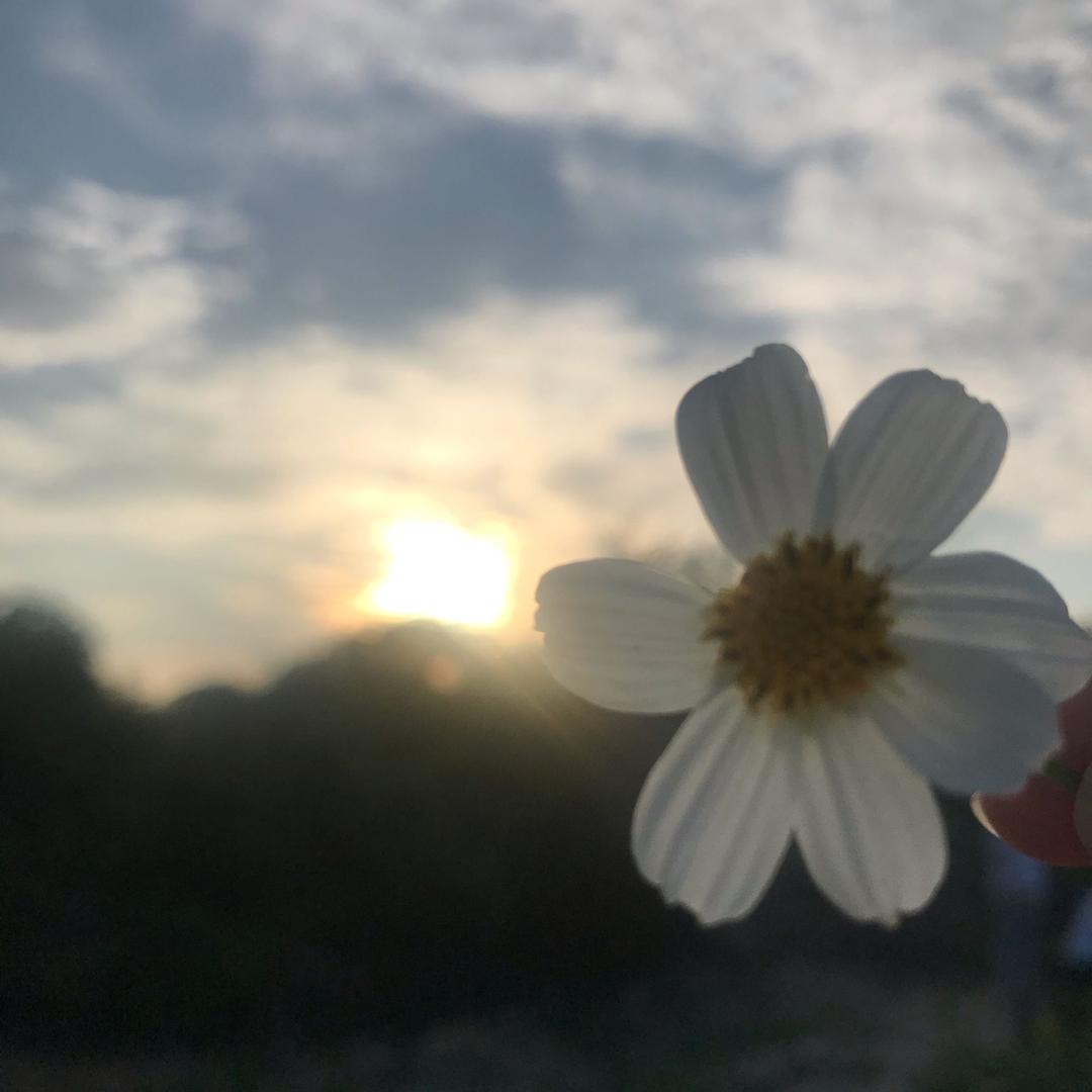 吴敌李太太