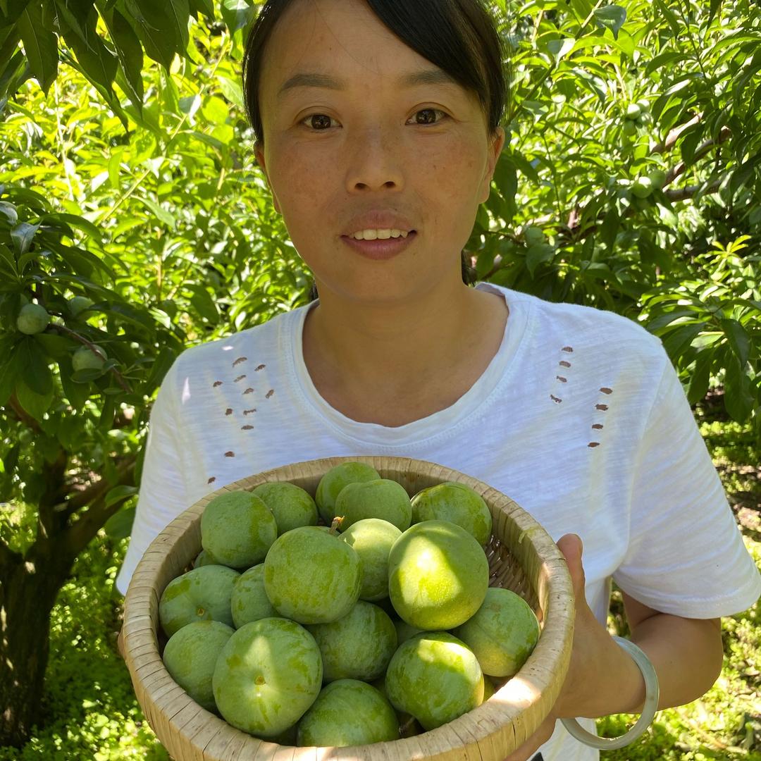 成都果可