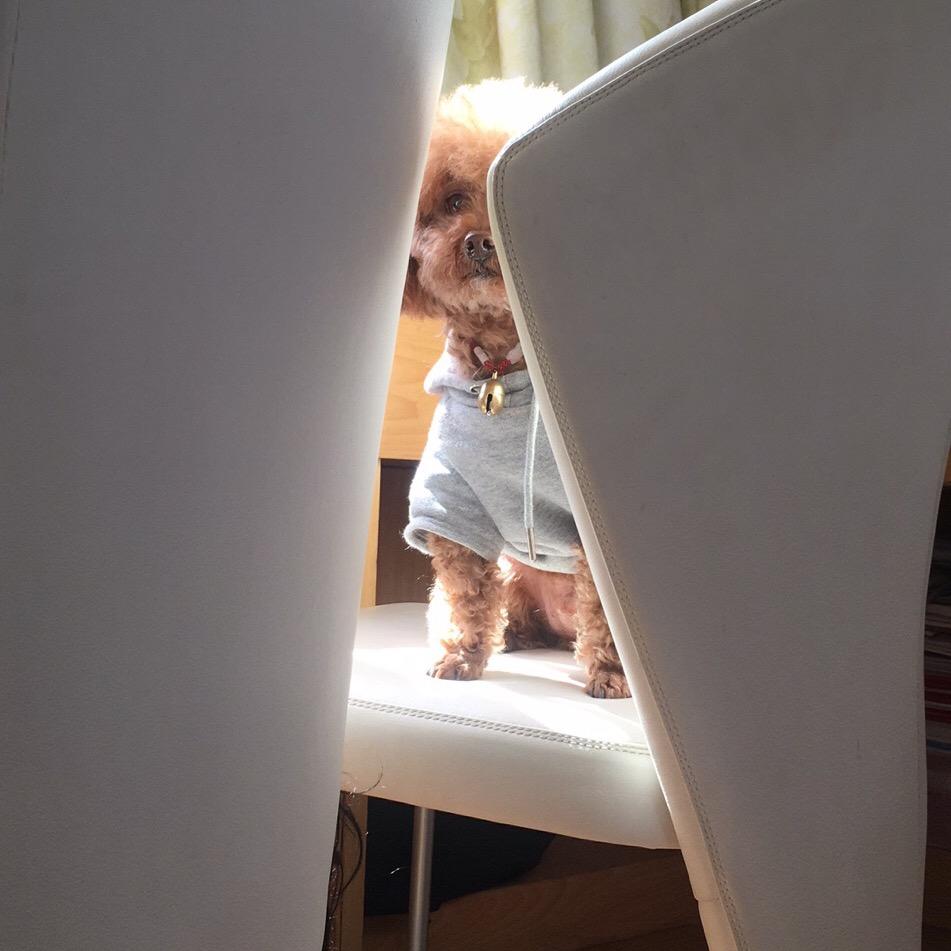 爱尚羊绒生活馆