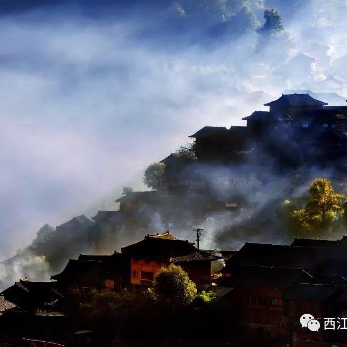 李理同学