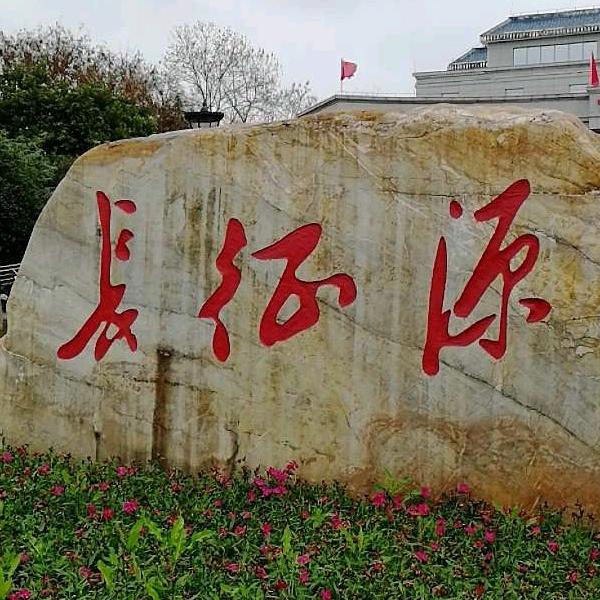 追梦龙