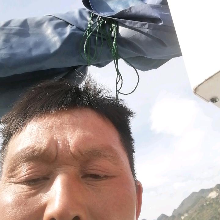 梦想飞扬