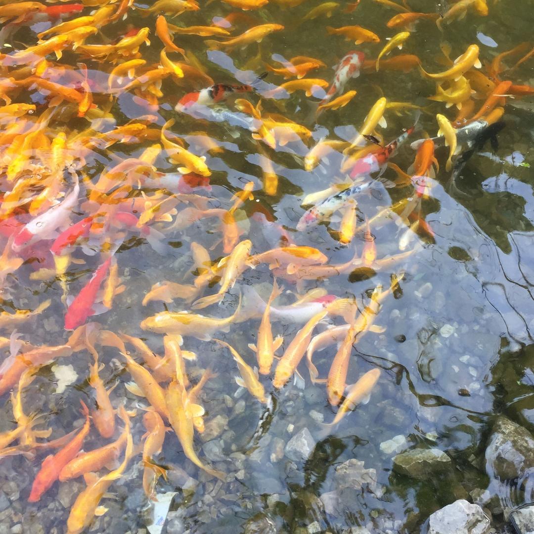 阳光洒满人生路
