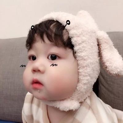 柠檬不萌爱分享