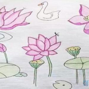 乐在凌晨巷子口的梧桐树下