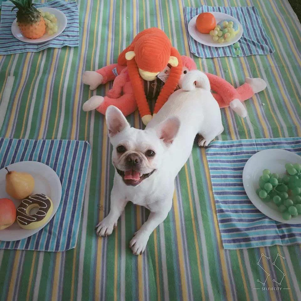 帅宝小盒子.Ma༴