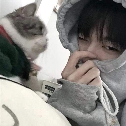 可以但没有必要