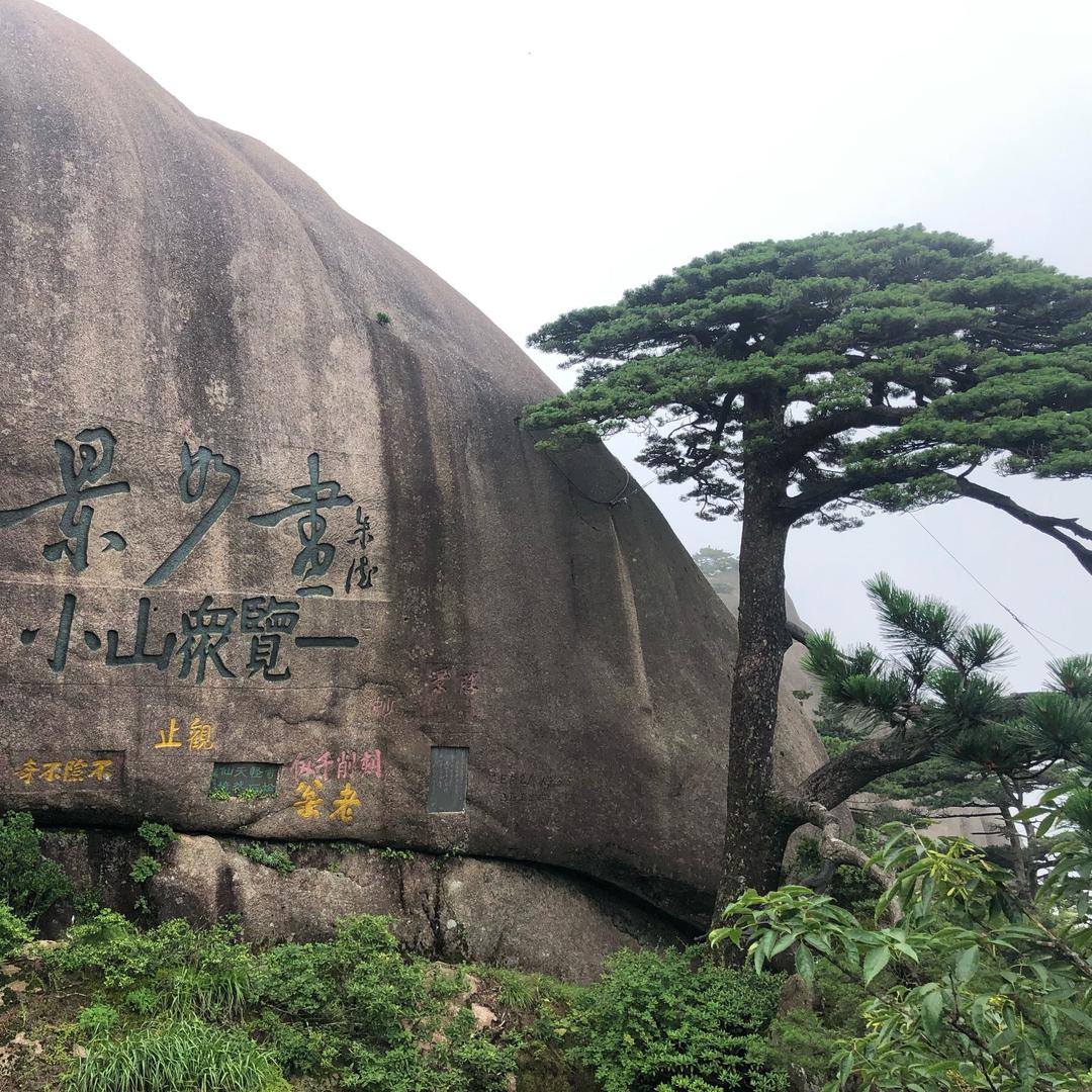 阿清（青🔆梅♣️竹马）