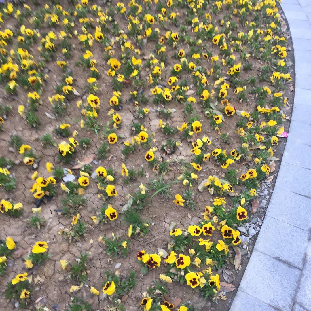 青春无敌