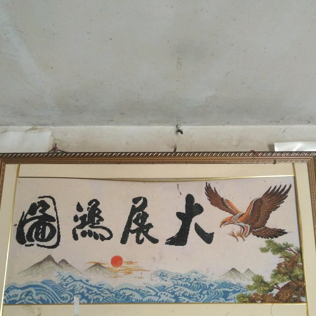 秋天枫叶