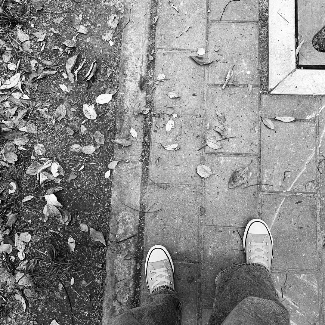 啃鸡腿🍗de小胖妹👧