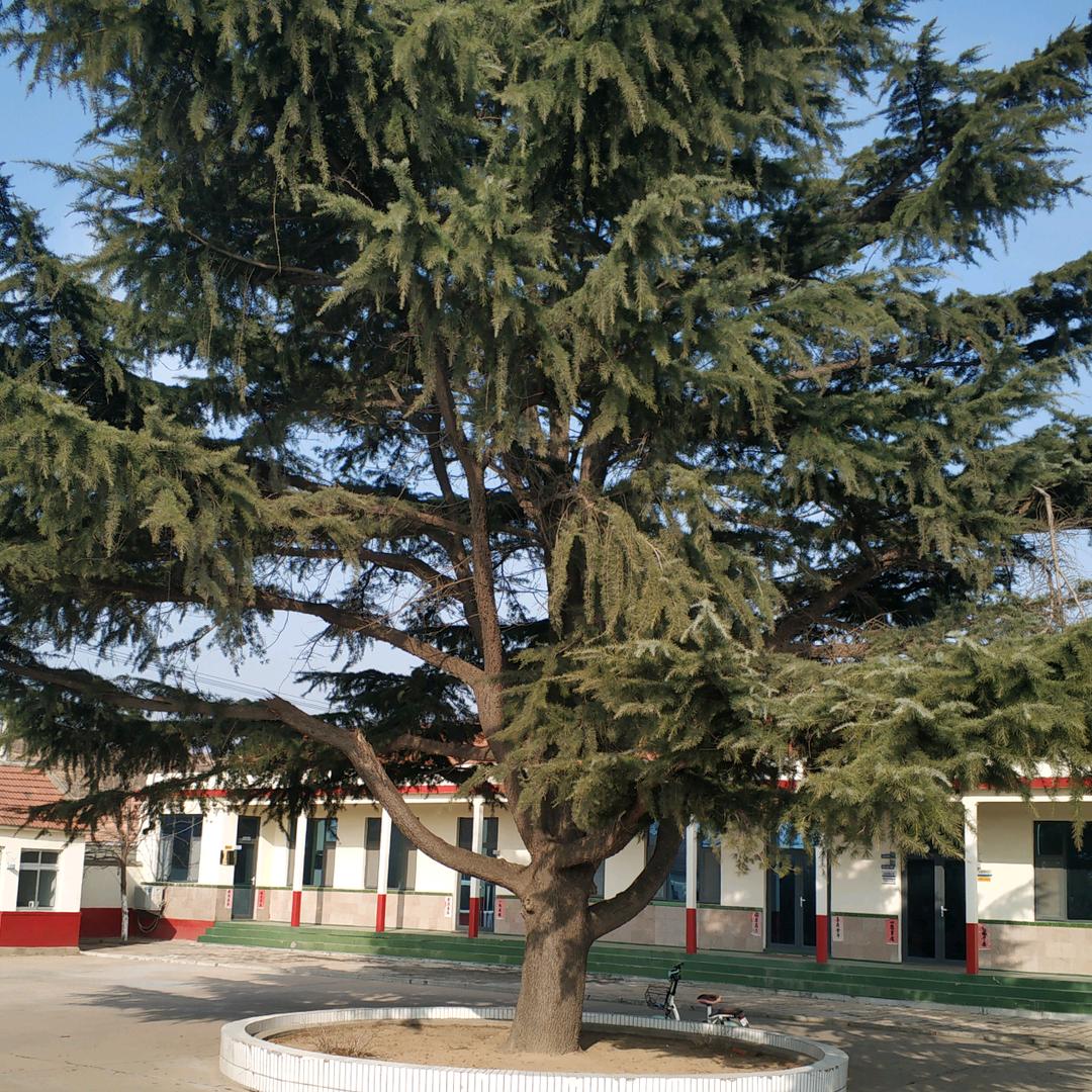 🇨🇳初心不改🇨🇳