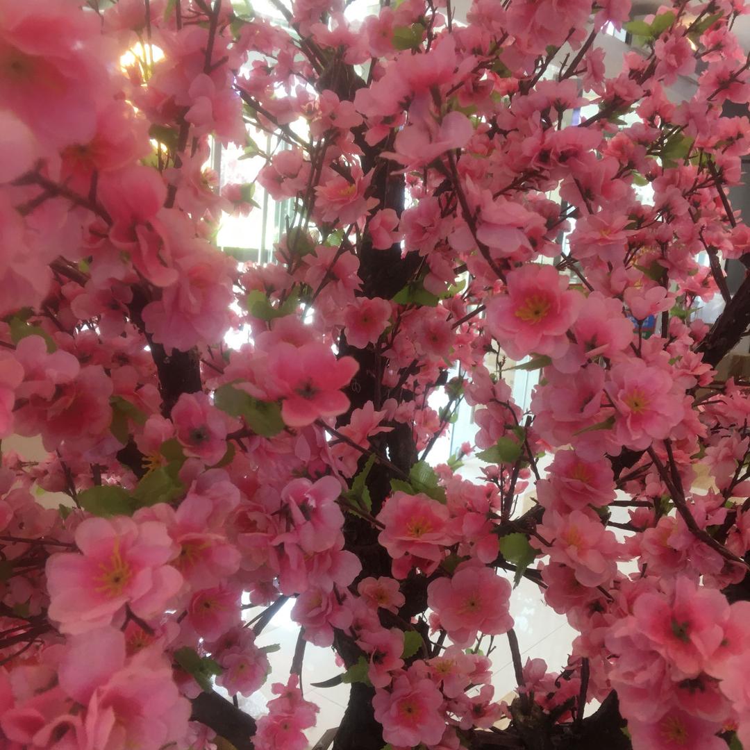 鸿运当头