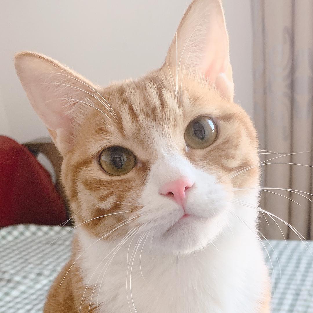 什么墙绘—Li麦芽