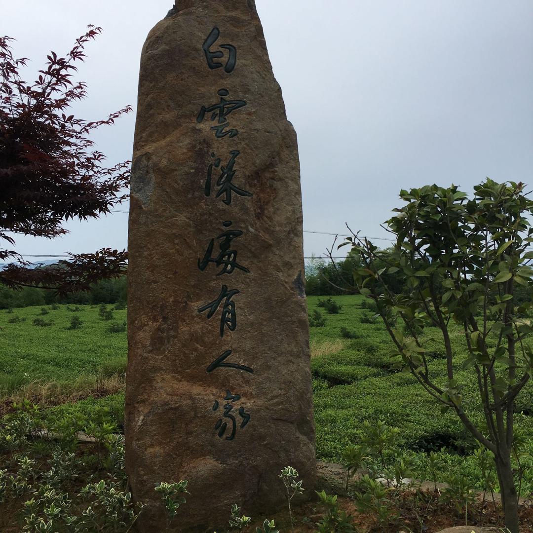 树叶过河