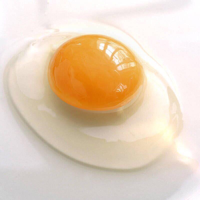 鸡蛋哥