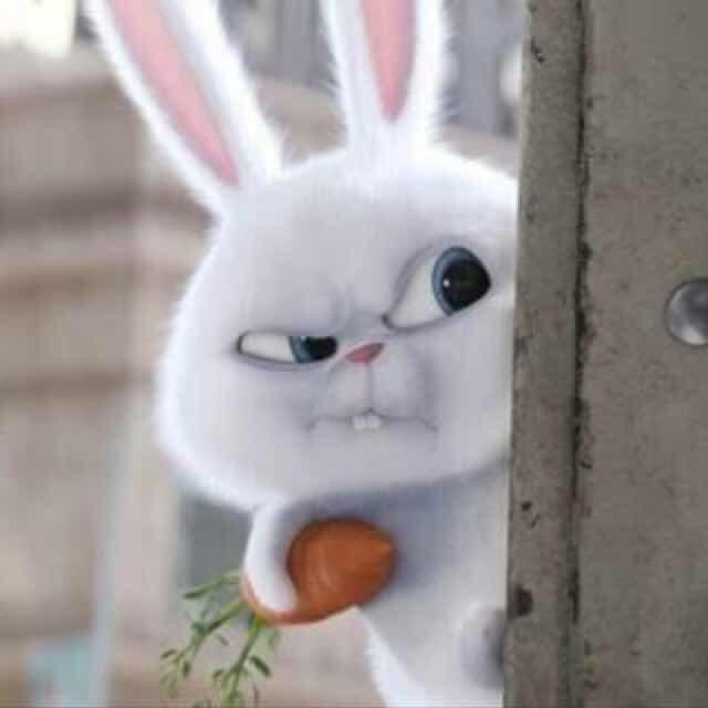 浙江义乌小黄鱼