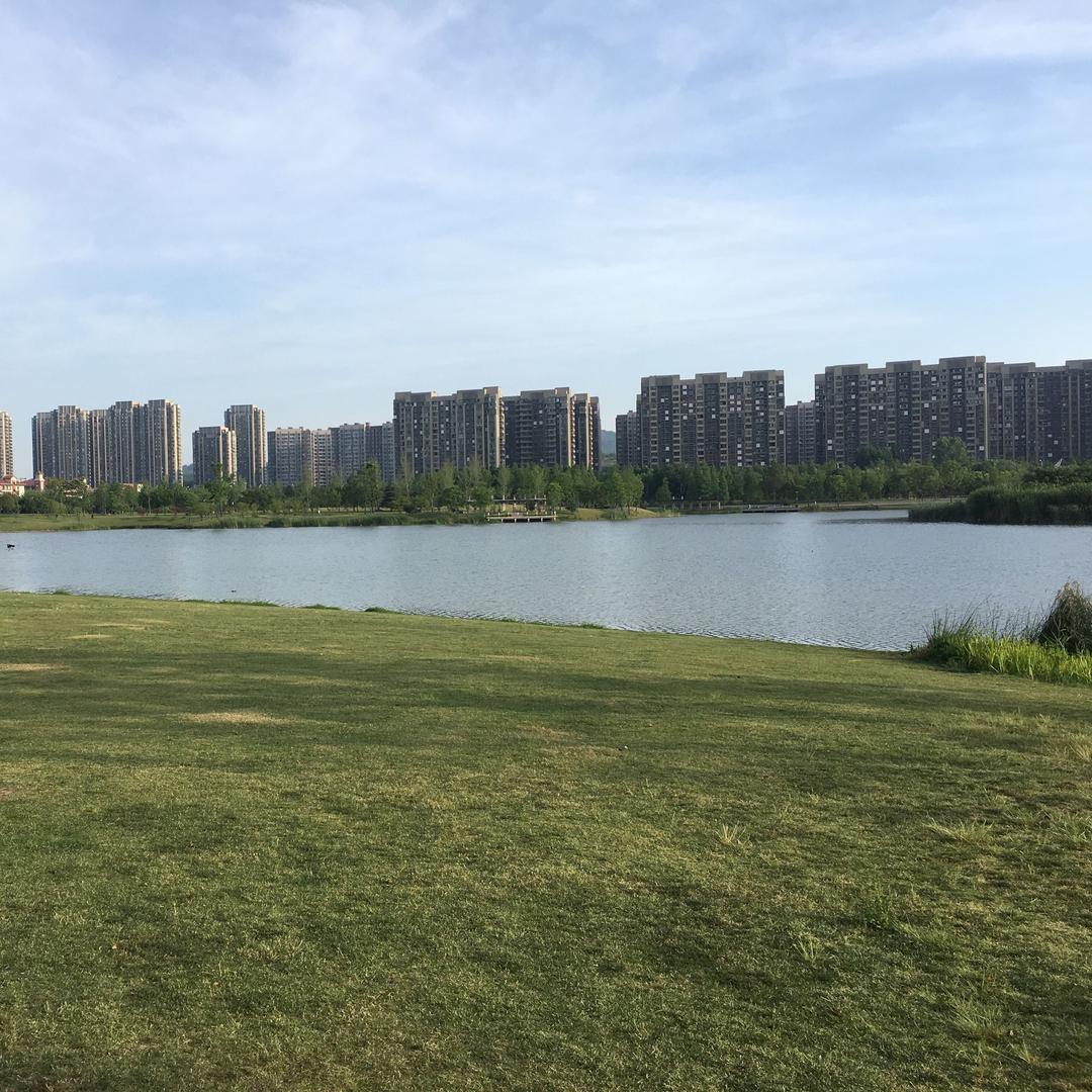 我们在路上2020
