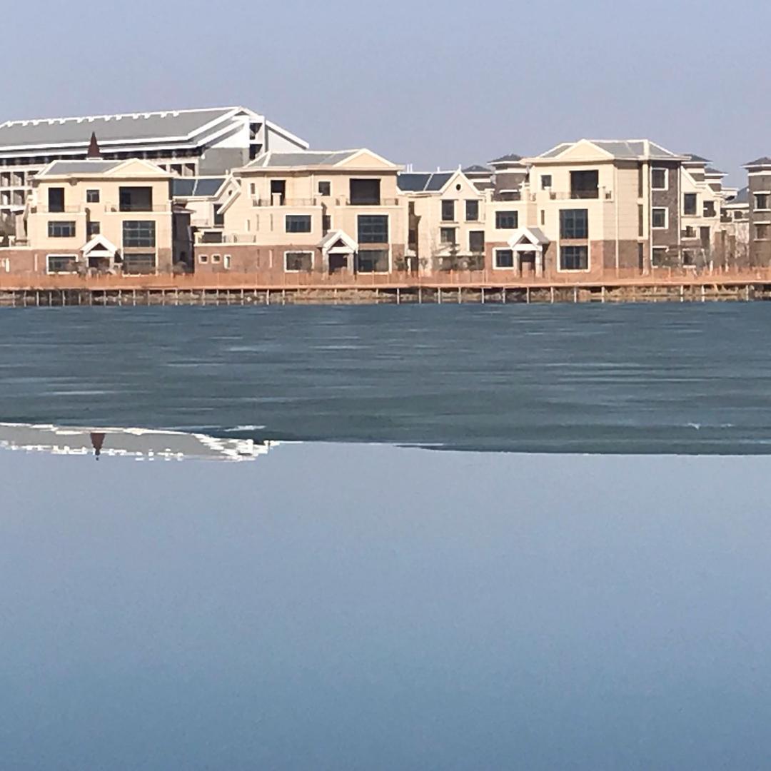 闲看落花