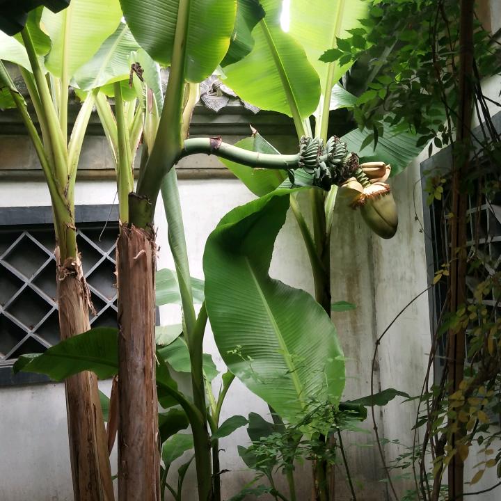 淮安木门玻璃门窗帘指纹锁张姐