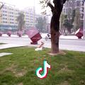 生活大杂烩