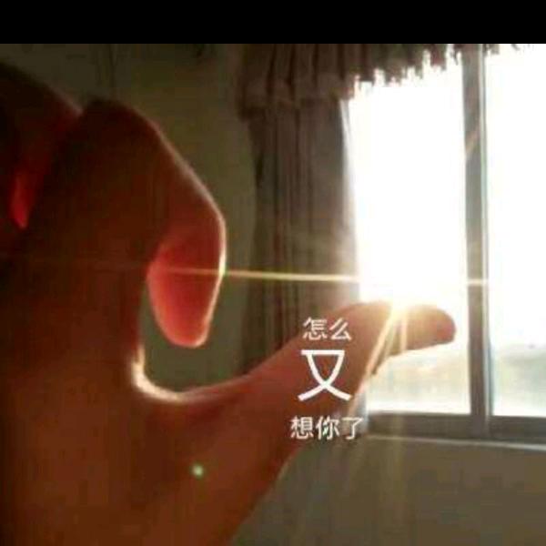 海岸线