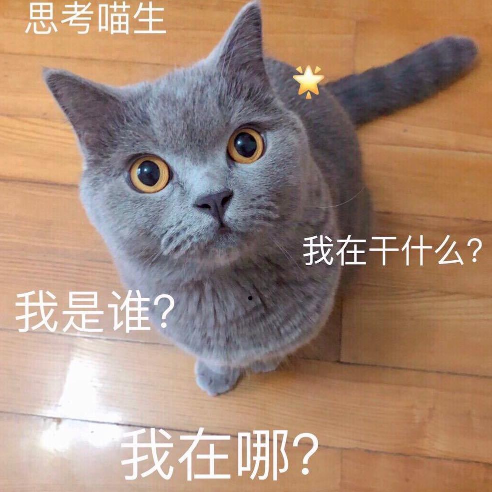 名字起得很随便