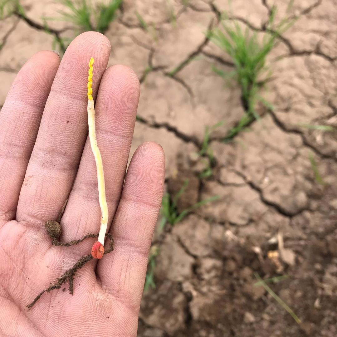 🌺地主婆婆🌺