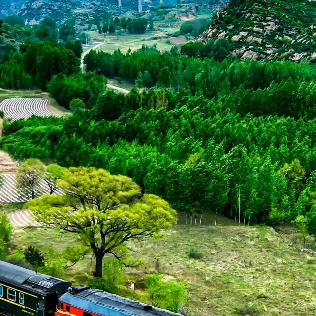 王（道）哥/正能量