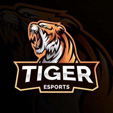 泰格韩Tiger
