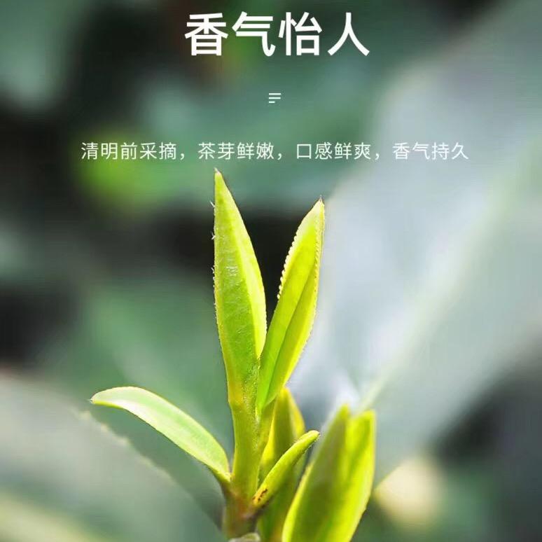 燕姐