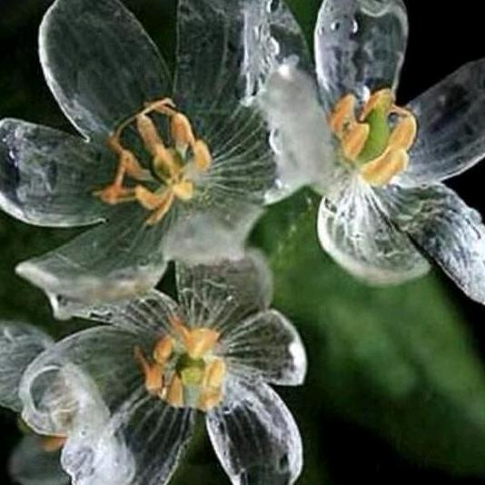 荔浦二手房铺子