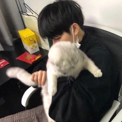 楠