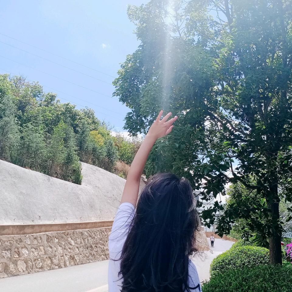 会飞的小猪佩奇