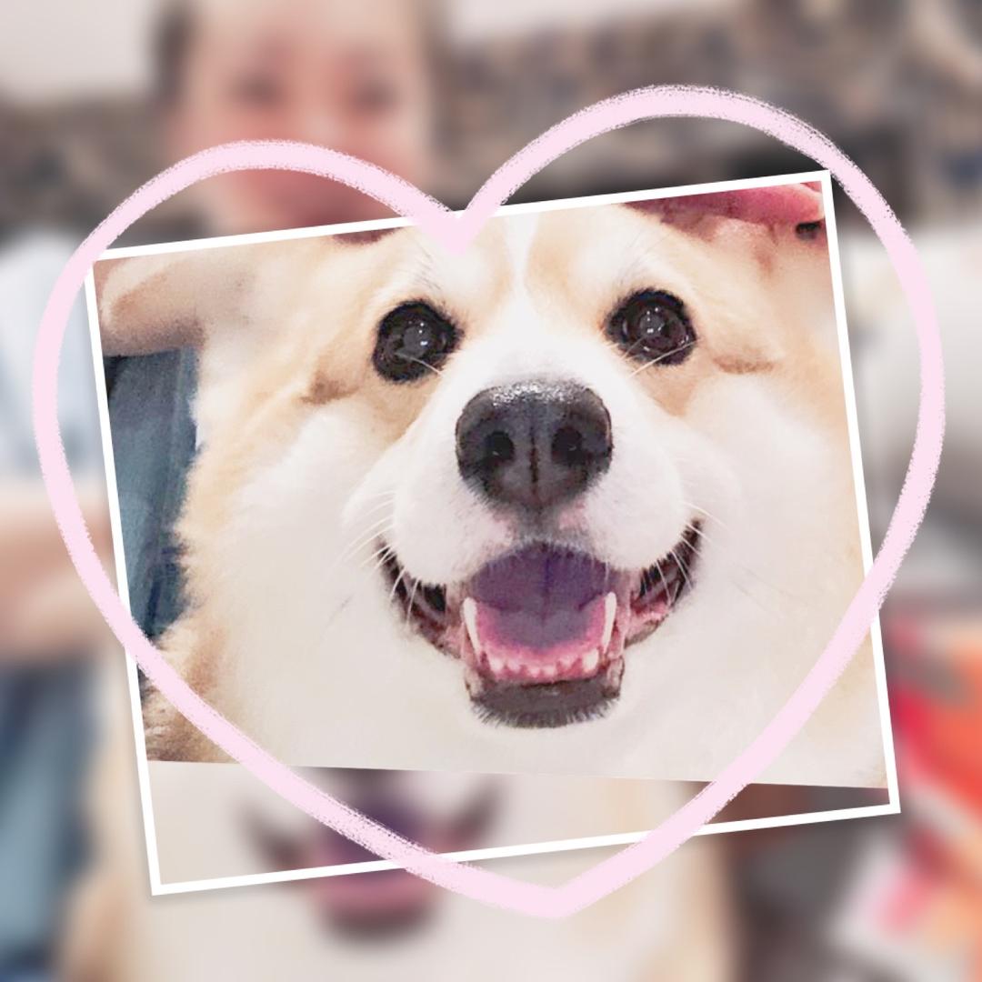 🌸水蓝涟漪🌸