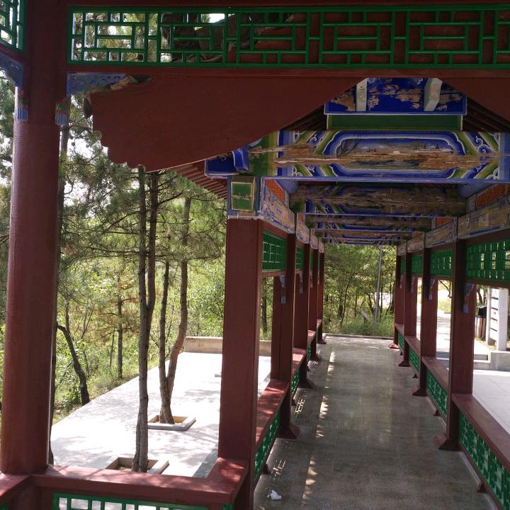龙哥