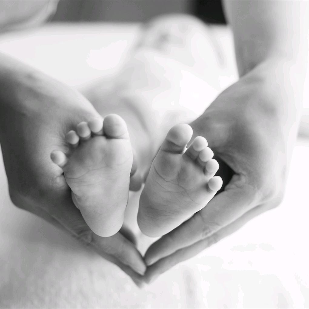 一个♥哒不刘