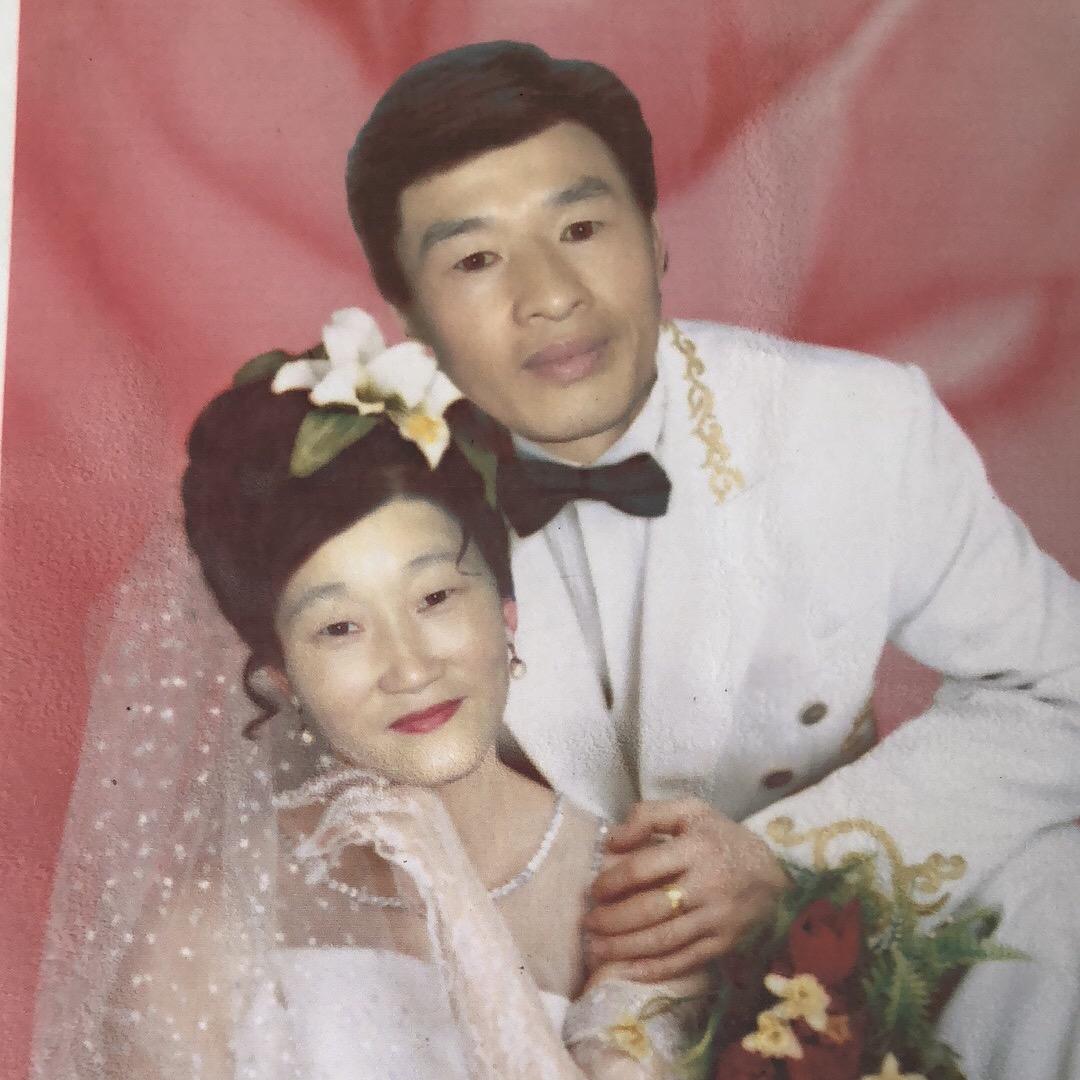 云鹤东来