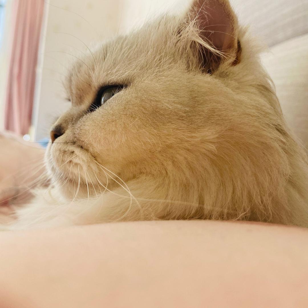 吴大大大大王.